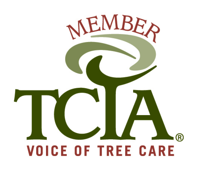 TCTA member